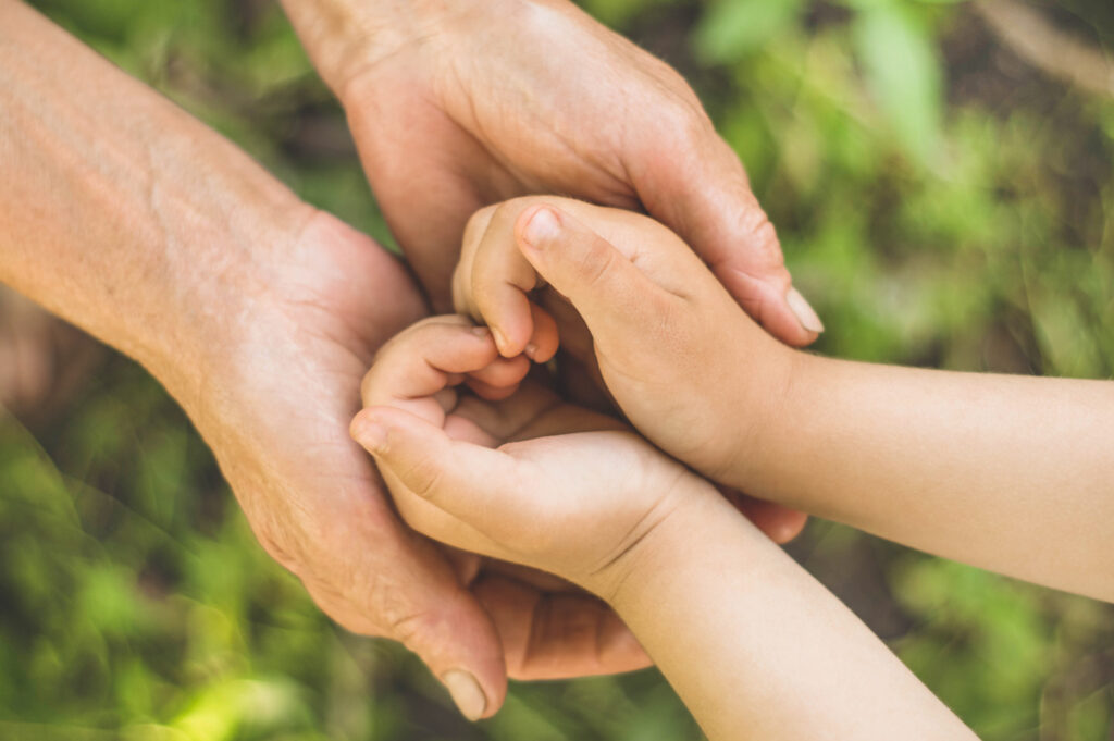 Child Support Guidelines
