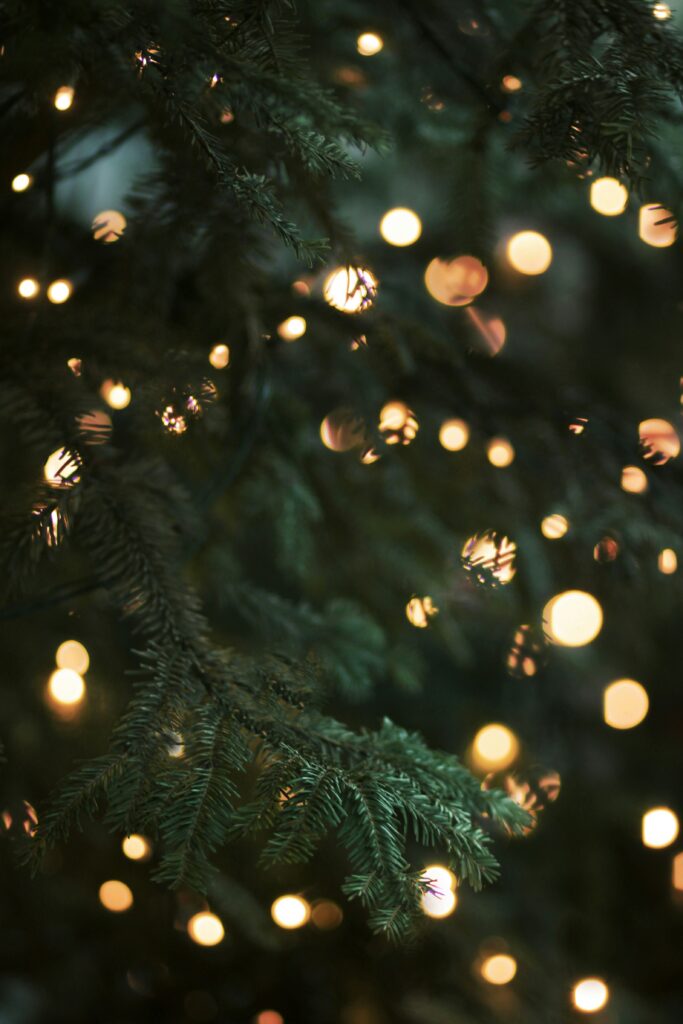 Addressing Holidays and Special Occasions in Your Plan
