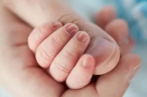 parent and infant hands